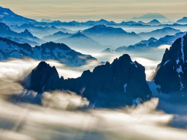 令人惊叹的后花园