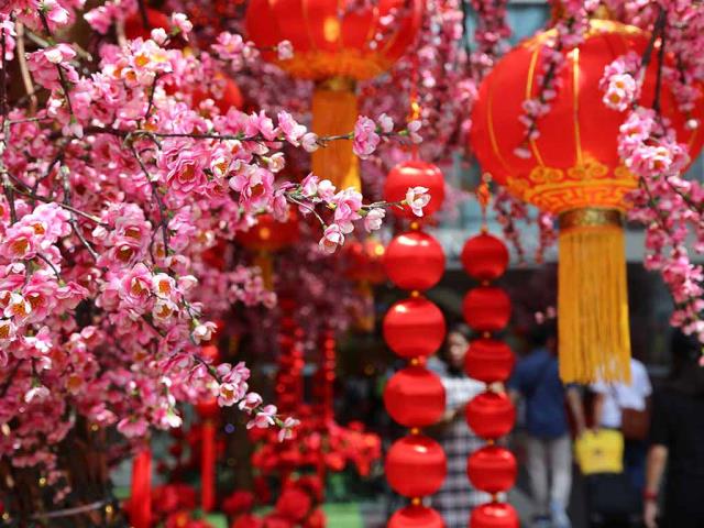春节快乐，兔年大吉！