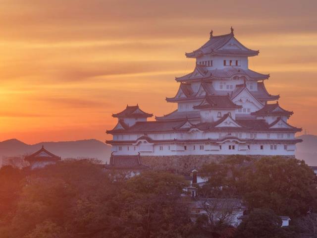 皇家景观