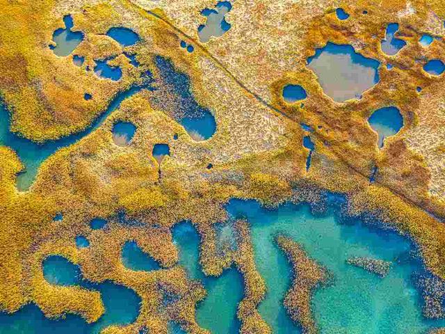 像一张油画