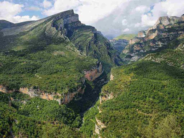 一路到顶峰