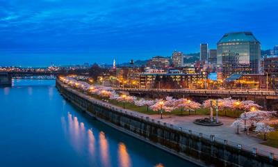 城市花开 | 汤姆·麦考尔滨水公园的樱花，波特兰，俄勒冈州，美国 (© Eric Vogt/Tandem Stills + Motion)