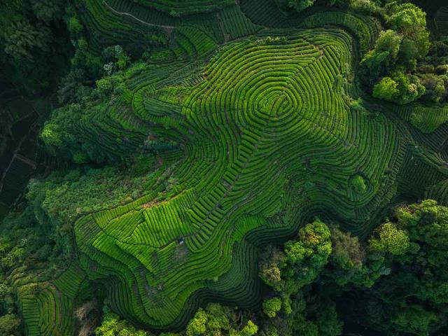 酿造传承