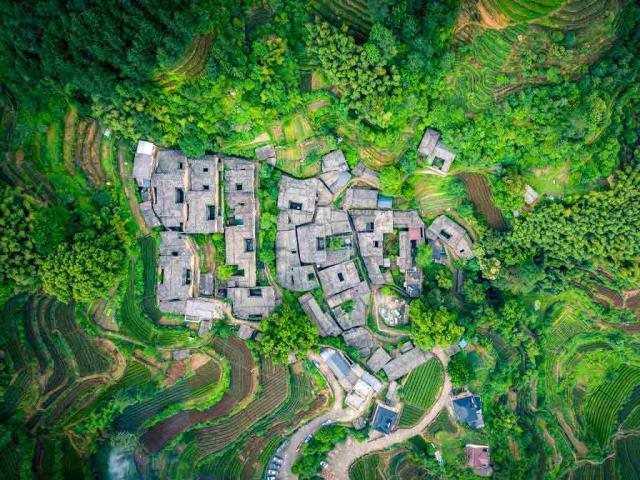 茶歇时光