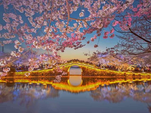 太湖畔的春天