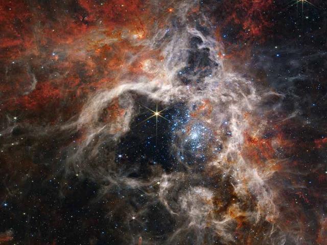 狼蛛星云中形成的年轻恒星